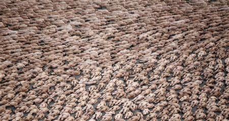 spencer tunick nude photograph mexicans